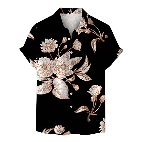 Lastesso Beach Shirt Men Mens Shirts Summer Mens Shirts Men's Hawaiian Shirts Men's Casual Button-Down Shirts Light Blue XL