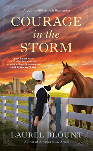 Courage in the Storm (A Johns Mill Amish Romance Book 3)