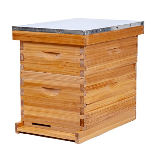 Honey Lake 8 Frame Bee Hive, Bee Hives Boxes Starter Kit Dipped In 100% Beeswax, Beehive Starter Kit Includes 1 Deep Brood Box and 1 Medium Super Bee Box with Beehive Frames and Waxed Foundation