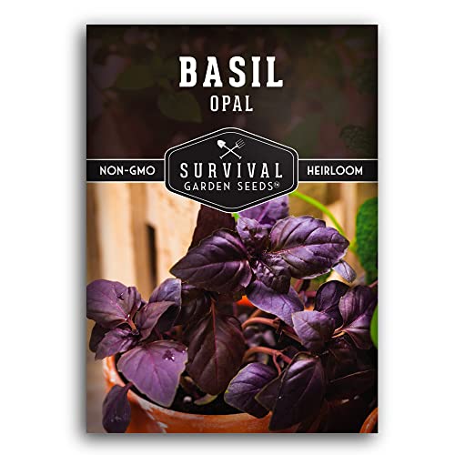 Survival Garden Seeds - Opal Basil Seed for Planting - Packet with Instructions to Plant and Grow Delicious & Unique Purple Basil Herb Plants in Your Home Vegetable Garden - Non-GMO Heirloom Variety