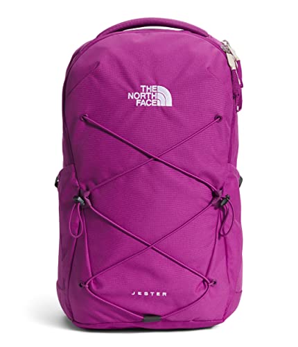 THE NORTH FACE Women's Every Day Jester Laptop Backpack, Purple Cactus Flower/TNF White, One Size
