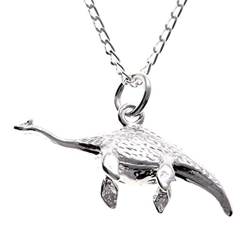 Alexander Castle 925 Sterling Silver Dinosaur Plesiosaurus Necklace Loch Ness Monster - 30mm x 12mm Pendant with 18' Silver Chain and Jewelry Gift Box - Scottish Gifts for Women & Men