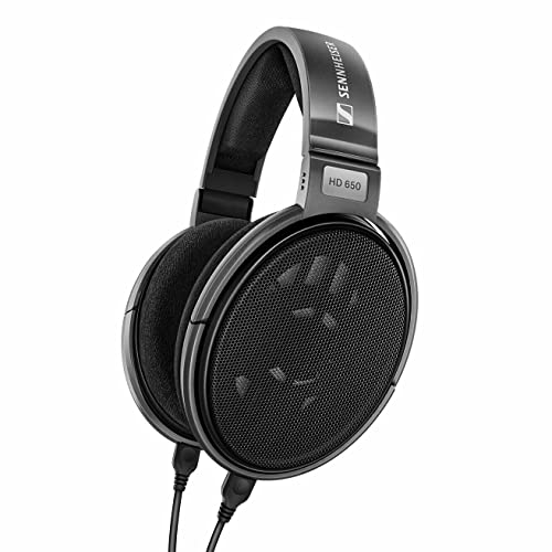 Sennheiser Consumer Audio HD 650 - Audiophile Hi-Res Open Back Dynamic Headphone, Titan
