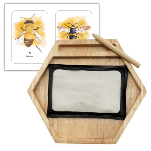 Montessori Sand Tray with Flashcard Holder and Flashcards | Play Sand & Wooden Stylus | Wooden Hexagon Tray | Sensory Bin | Tactile & Sensory Toys | Wood Learning and Educational Toys | Montessori Toy