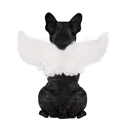 WeeH Pet Halloween Costume Cosplay Angel Devil Black White Wing for Dog Cat Rabbit Piggy - Funny Gift at Halloween Party Anime Theme Birthday Christmas (White, Small)
