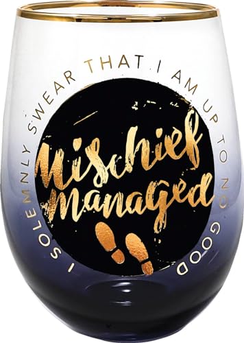 Spoontiques – Harry Potter Acrylic Wine Tumbler – Acrylic Stemless Wine Glass – 16oz - 5 5/8” Tall - Mischief Managed