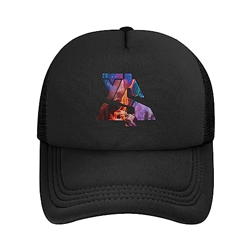 CASOWAT Ty Rapper Dolla Singer Sign Mesh Hat Baseball Cap Adult Fashion Dad Hat Outdoor Cap Adjustable Trucker Hat for Men Womens Black