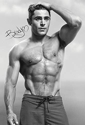 bribase shop Zac Efron Movie Actor Star Poster 20 inch x 13 inch