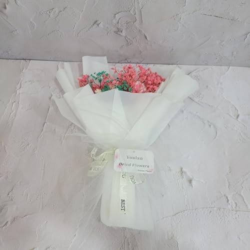 Youlan Dried Flowers Dried Flowers That Never Fade - Always Bloom with Fragrance