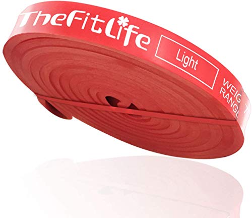 TheFitLife Resistance Pull Up Bands - Pull-Up Assist Exercise Bands, Long Workout Loop Bands for Body Stretching, Powerlifting, Fitness Training, with Carrying Bag and Workout Guide (Red)