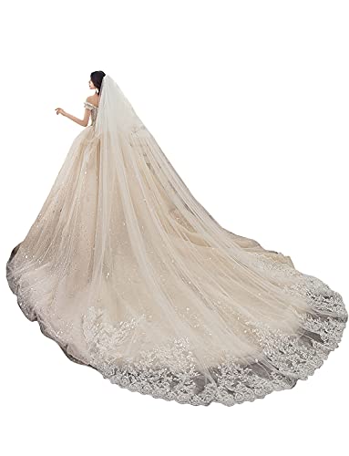 NCDIMS Newdeve Wedding Veils Cathedral Length 2 Tier Long Sequins Lace Edge Blusher with Comb 118' L 78' W