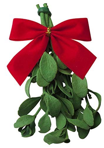 Real Mistletoe Preserved
