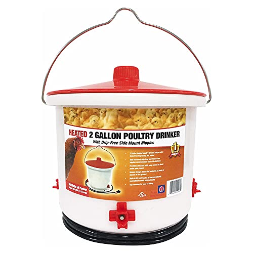 Farm Innovators HB-60P Thermostatically Controlled Heated 2 Gallon Plastic Outdoor Year Round Poultry Chicken Water Bucket Drinker, White/Red