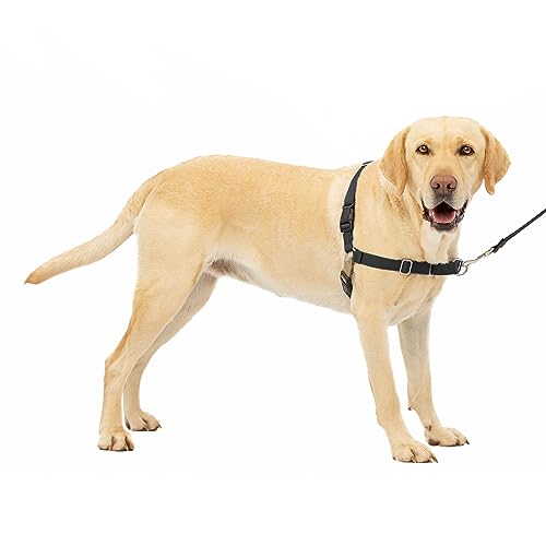 PetSafe Easy Walk Dog Harness - Stop Pulling & Teach Leash Manners - Ultimate No-Pull Control for Walks - Large, Black/Silver