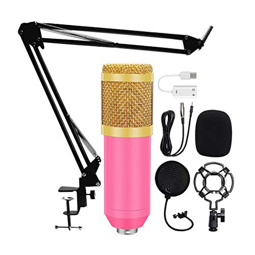 N/A Microphone Kits Professional Condenser Microphone Bundle Filter Mikrofon for Computer Laptop Studio Recording