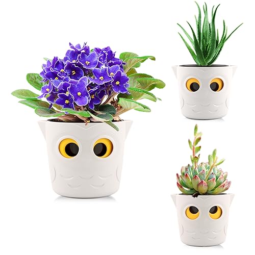 Restmo 3 Pack Plant Pots, 5” Self Watering Planters for Indoor Plants, Plastic Flower Pots with Owl Eye Water Level Indicator, House Plants, African Violet, Succulents, Monstera, Ceramic White