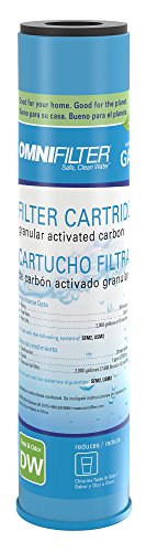 Omni Corporation GAC1-SS Taste/Odor Carbon Water Filter