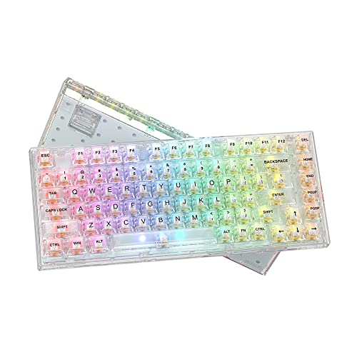 Womier 75% Percent Keyboard, Gasket Mount Mechanical Gaming Keyboard, S-K75 82 Keys Wired Custom Keyboard RGB Clear Keyboard, Hot Swappable Keyboard, Pre-lubed Switch for Mac/Win, Fully Transparent