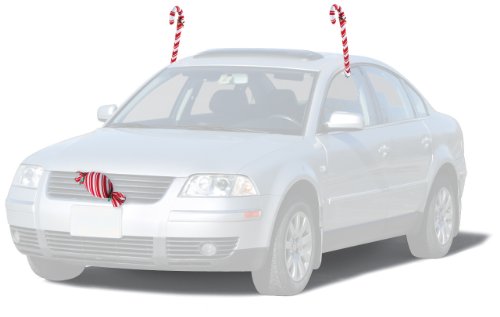 Mystic Industries Candy Cane Vehicle Costume