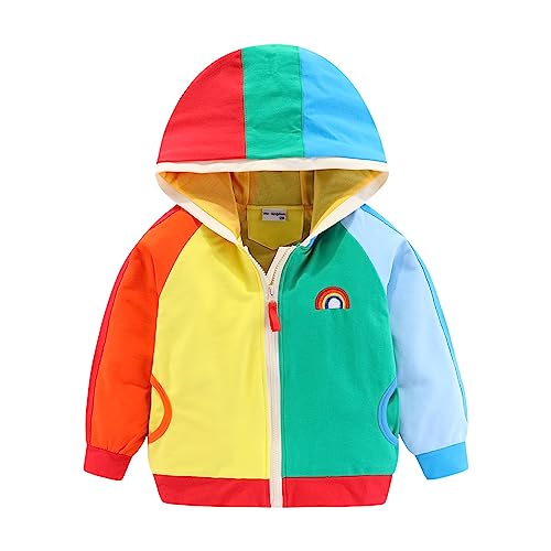Mud Kingdom Toddler Boy Zip Up Hoodie Sweatshirt with Hood Rainbow Patchwork 2T