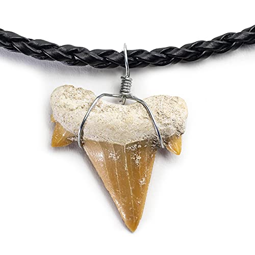 KALIFANO Fossilized Shark Tooth Necklace - Authentic Prehistoric Shark Teeth Fossil Pendant on 18' Inch Braided Leather Cord - Great Gift for Men and Boys (Information Card Included)