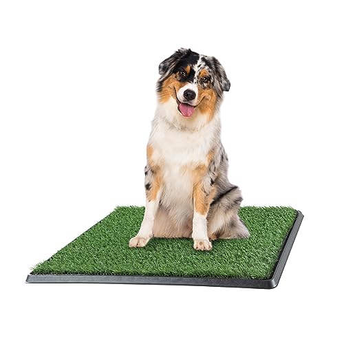 Artificial Grass Puppy Pee Pad for Dogs and Small Pets - 20x25 Reusable 3-Layer Training Potty Pad with Tray - Dog Housebreaking Supplies by PETMAKER