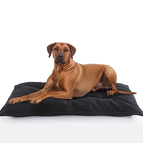MABOZOO Indestructible Dog Beds Chew Proof Dog Crate Pad,Durable Dog Bed for Aggressive Chewers,Tough Washable Dog Mats for Small/Medium Dogs,Black Washable Dog Bed for Kennel,M 18x29 in