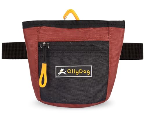 OllyDog Goodie Treat Bag, Dog Treat Pouch, Waist Belt Clip for Hands-Free Training, Magnetic Closure, Dog Training and Behavior Aids, Three Ways to Wear (Cider)