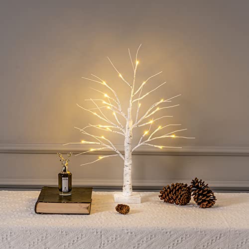 MEETYAMOR 2FT/24” Birch Tree Light with 24LT Warm White LED Battery Powered Timer for Christmas Decorations Indoor, Branch Money Trees for Winter Party Wedding Table Mantel Home Easter Decor