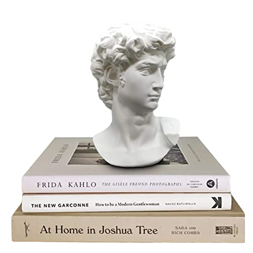 Greek Statue of David - Head Bust Statue for Roman Home Decor - Greek Mythology Decor - Coffee Table Decor White