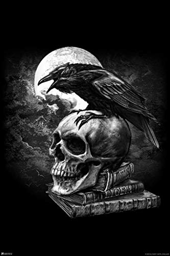 Alchemy Poes Raven Skull Gothic Edgar Allan Poe Witchy Witchcraft Goth Decorations Crow Horror Cool Wall Decor Art Print Poster 24x36