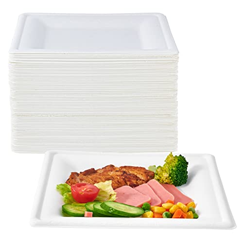 ECOLipak 150 Piecs Square Paper Plates, 8-inch Compostable Disposable Plates, Eco-friendly Heavy Duty Biodegradable Sugarcane Plates for Party Dinner Birthday