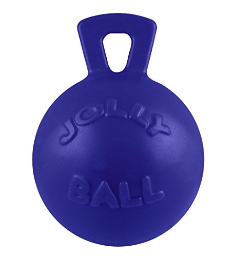 Jolly Pets Tug-n-Toss Dog Toy Ball with Handle, 8 Inches/Large, Blue