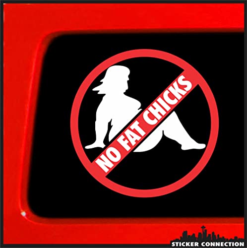 Sticker Connection | No Fat Chicks Car Will Scrape | Bumper Sticker Decal for Car, Truck, Window, Laptop, Toolbox | 4'x4' (White)