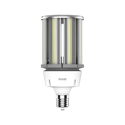 RAB Lighting HID-120-EX39-850-BYP-PT Outdoor, Image