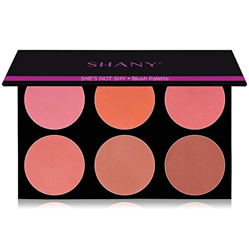 SHANY The Masterpiece 6 Colors Large Makeup Blush Palette - SHE'S NOT SHY