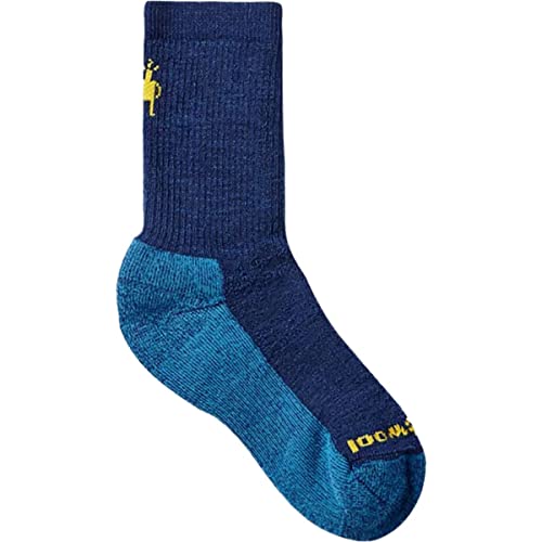 Smartwool SW001686B25S Kids' Hike Full Cushion Crew Socks Alpine Blue S