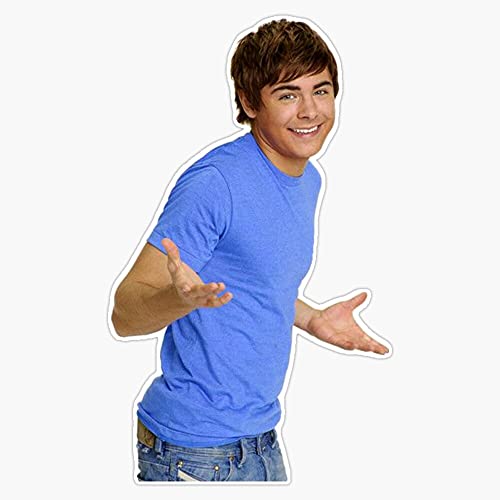 Zac Efron - Troy Bolton - Shrug Meme - 1 Vinyl Sticker Waterproof Decal Laptop Wall Window Bumper Sticker 5'