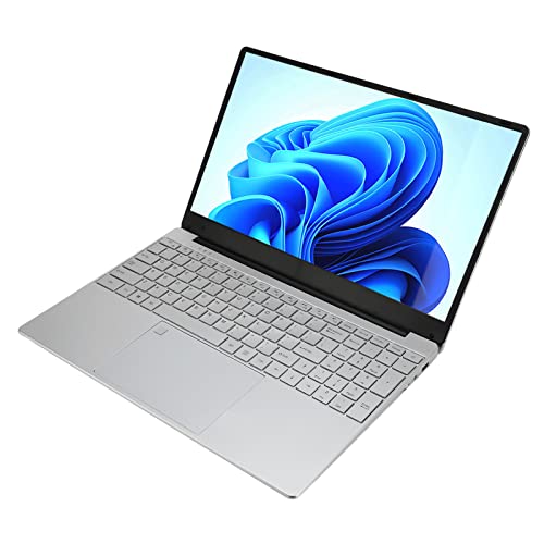 Acogedor 15.6 inch IPS 2K 1920x1080 Slim Laptop for Win 10, Quad Core 2.9GHz CPU with 4 Threads, 12GB + 512GB, Fingerprint Reader, 8 Hours Battery
