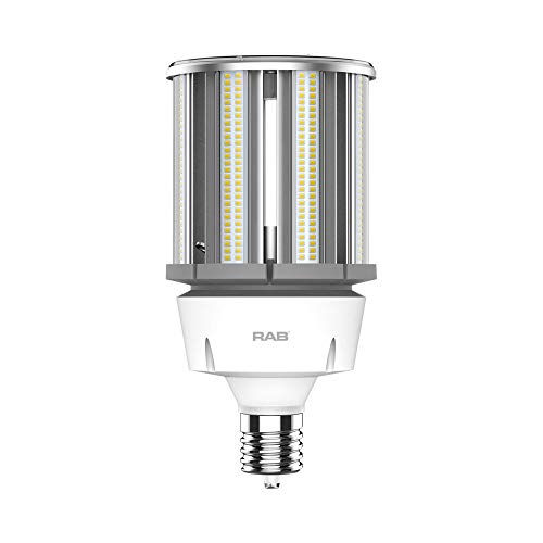RAB Lighting HID-100-EX39-850-BYP-PT-G2 Outdoor, Image