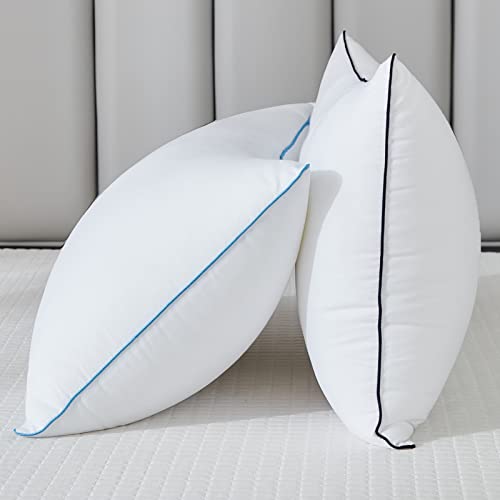 Flanhorest Bed Pillows for Sleeping - Pillows Standard Size Set of 2 Cooling Luxury Hotel Quality Pillow with Premium Plush Soft Down Alternative Fill for Side Back or Stomach Sleepers (Pack of 2)