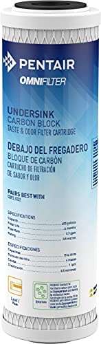 Pentair OMNIFilter CB3 Carbon Water Filter, 10' Undersink Carbon Block Taste & Odor Replacement Filter Cartridge, NSF Certified to Reduce PFOA/PFOS, 10' x 2.5', 0.5 Micron