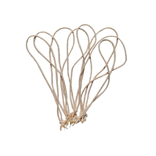 Regency Wraps Trussing Bands, Trussing Elastic Bands for Rotisserie Chicken, Roasting Turkey, Forming Roasts, Bundling Veggies for Steaming, 7”, Pack of 200