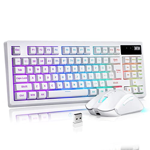 ZJFKSDYX C87 Wireless Gaming Keyboard and Mouse Combo, LED Backlit Rechargeable 3800mAh Battery, Mechanical Feel Anti-ghosting Keyboard + 7D 3200DPI Mice for PC Gamer (Black)(White)