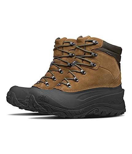 The North Face Men's Chilkat IV, Utility Brown/New Taupe Green, 12