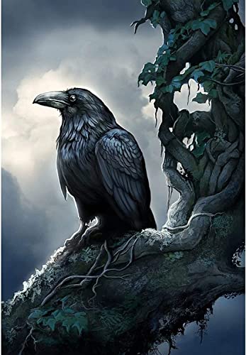 DVWIVGY DIY 5D Crow Raven Tree Full Diamond Painting Cross Stitch Kits Art Animal 5D Paint by Diamonds 11.8 X 15.8 Inch