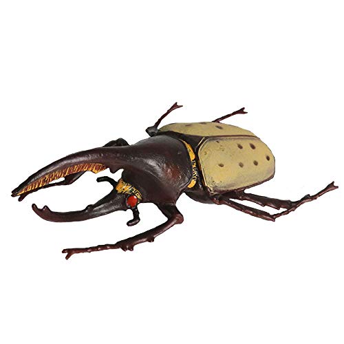 FLORMOON Realistic Animal Figures Hercules Beetle Figurines Insect Toy, Science Project, Cake Topper, Early Educational Toys Birthday for Toddlers Kids Age 3 4 5