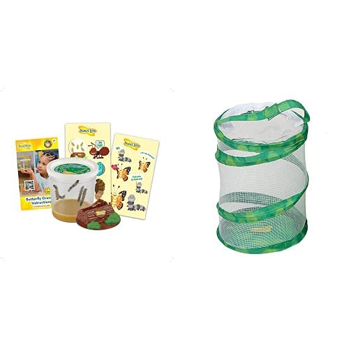 Insect Lore Cup of Caterpillars with Mini Butterfly Habitat - Pop Up Port A Bug