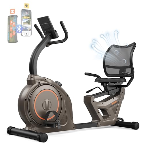 Niceday Recumbent Exercise Bike, Recumbent Bike for Home, Recumbent Stationary Bike 400LBS Weight Capacity, Magnetic Recumbent Bike with Smart APP, LCD Monitor, Heart Rate Handle