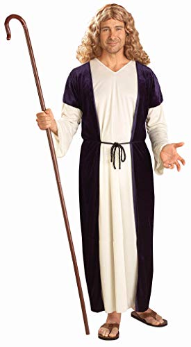 Forum Novelties Men's Biblical Times Shepherd Costume, Multi, Standard